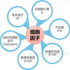 细胞因子（cytokine）