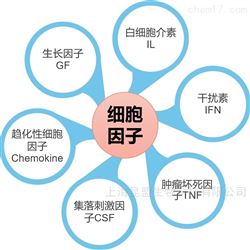 细胞因子（cytokine）