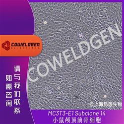 KMCC-001-0342MC3T3-E1 Subclone 14 小鼠颅顶前骨细胞