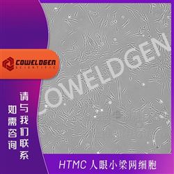 KMCC-001-0378HTMC 人眼小梁网细胞