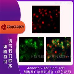 KTA0002Annexin V-AbFluor™ 488 细胞凋亡检测试剂盒（绿色荧光）