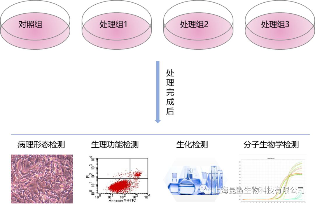 定制化细胞方案.png