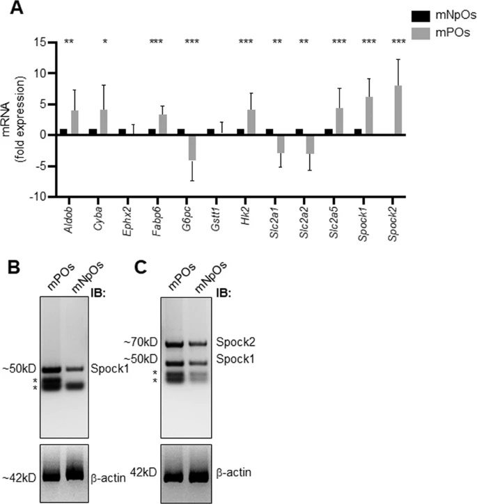 Fig2.jpg